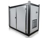 Газовый генератор CTG 50CG LPG в контейнере с АВР